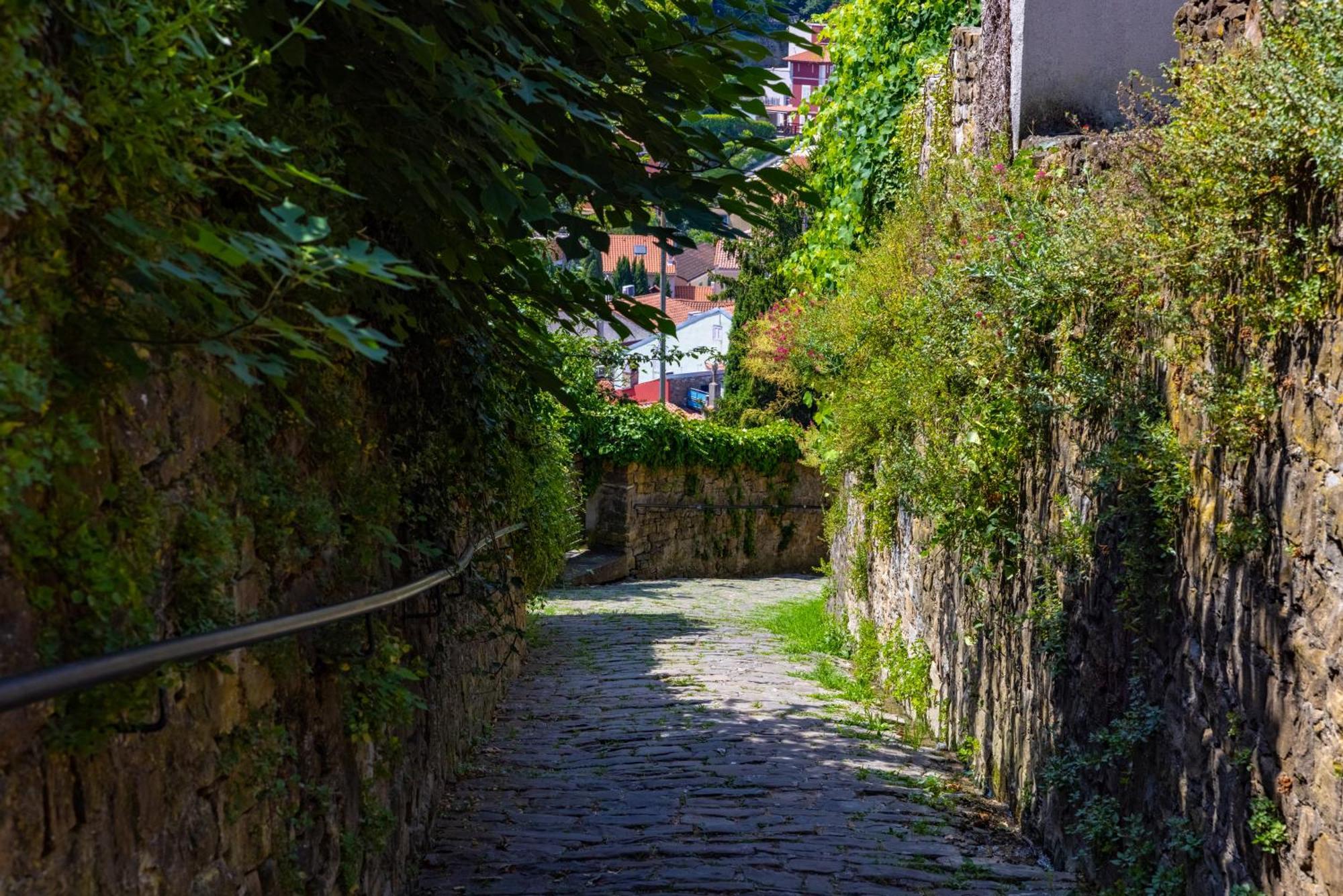 Adam Garden Piran Leilighet Eksteriør bilde